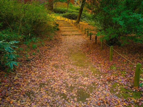 基拉德·加那國家公園