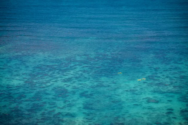 ตั๋วเครื่องบิน หาดใหญ่ เชียงใหม่