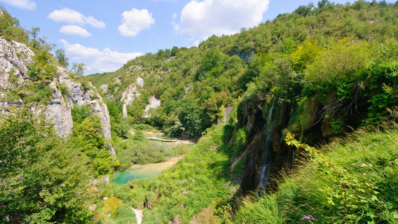 Svibovec Podravski