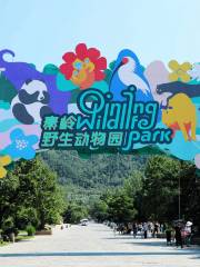 Qinling Wildlife Park