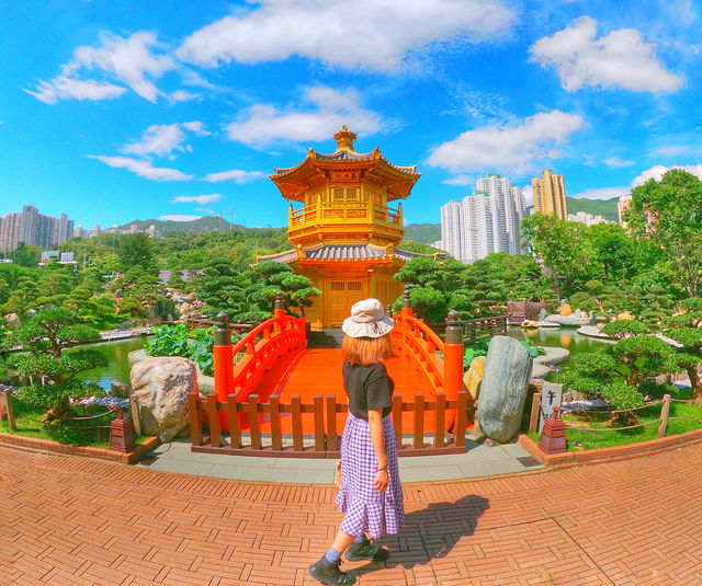 【去咗京都金閣寺！？其實係南蓮池園】#我好挂住！