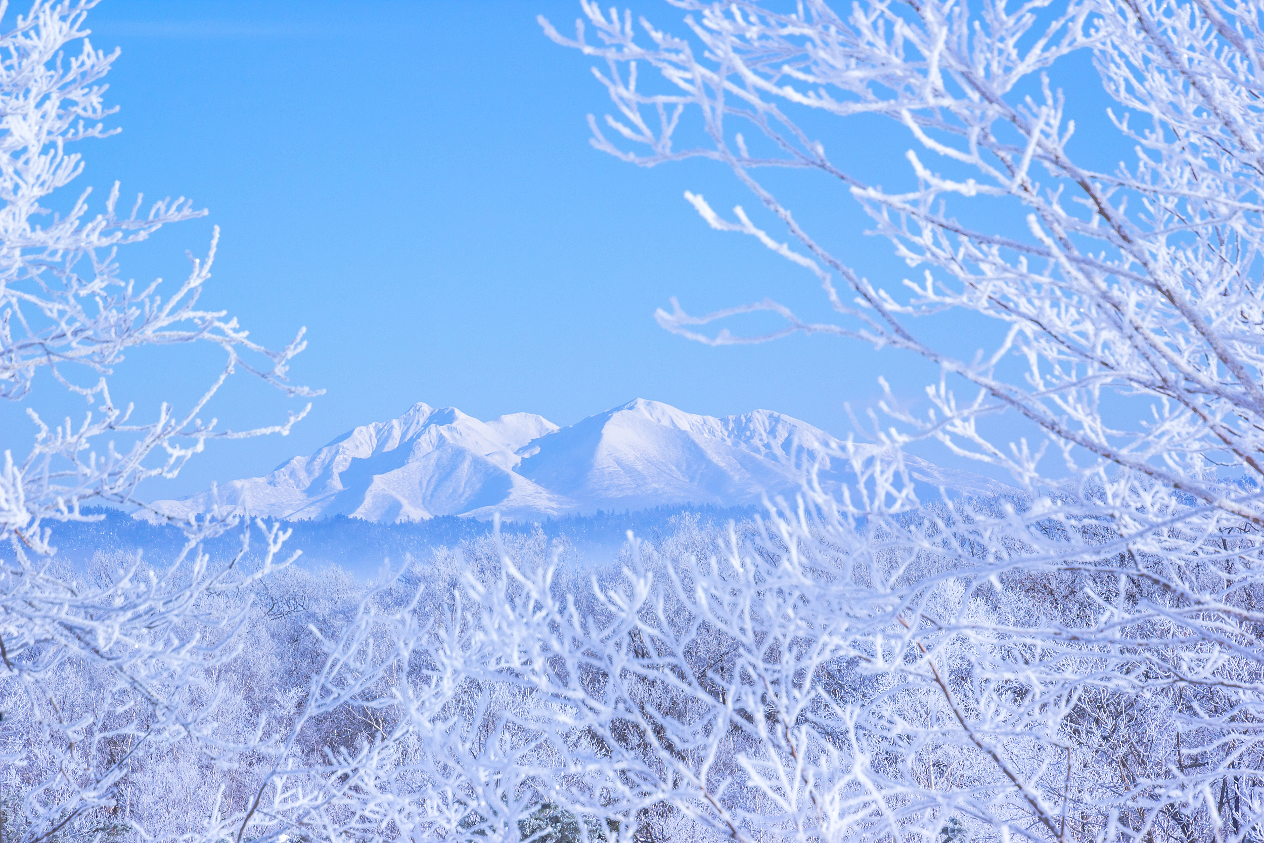 2025 Shiretoko Peninsula Travel Guide: Must-see attractions, popular food, hotels, transportation routes (updated in July)