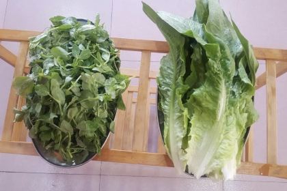 老字号生态石锅鱼