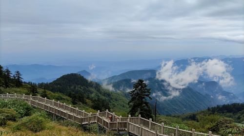 西嶺森林公園