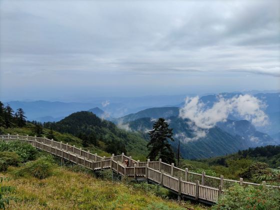 西嶺国家森林公園