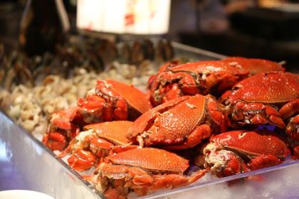 美 全日餐厅(新田美爵酒店)