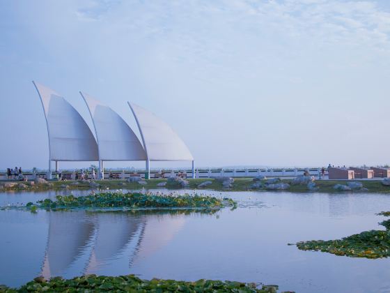 Baiguihu Guojia Chengshi Wetland Park