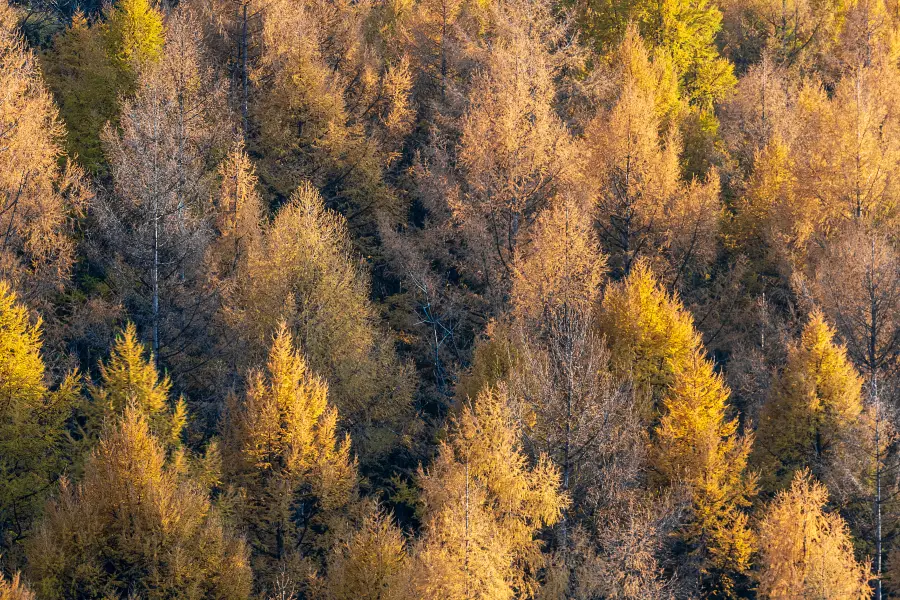 Baihua Valley Scenic Area