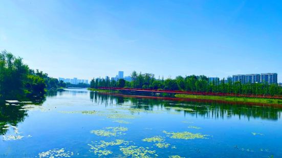 特別是在每年的夏天，當你來到成都，走進錦城公園，既能讓你產生