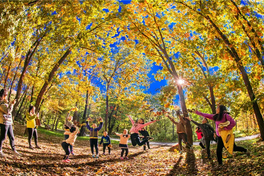 Wujiashan Forest Park