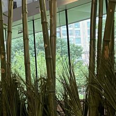 悦河咖啡厅-西餐厅 User Photo