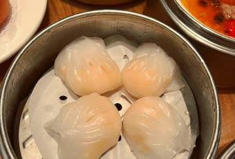 Ping Pang Pong user photo