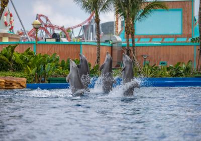 Hainan R & F Ocean World