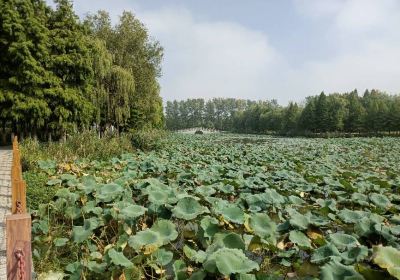 Экологический парк Шэньян