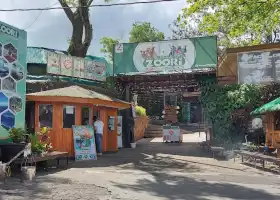Residence Inn Mini Zoo