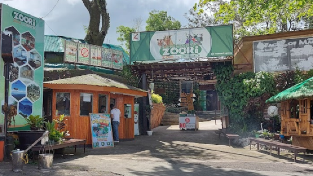 Residence Inn Mini Zoo