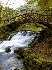 Vrelo Bosne