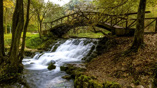 Vrelo Bosne