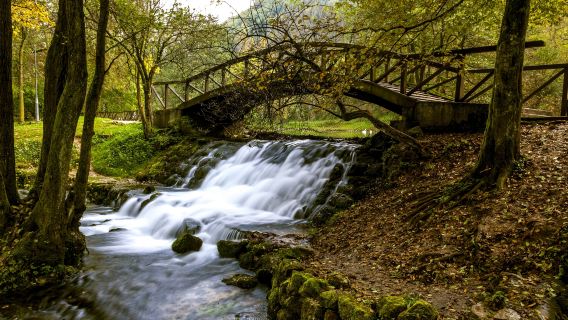 Spring of the river Bosna