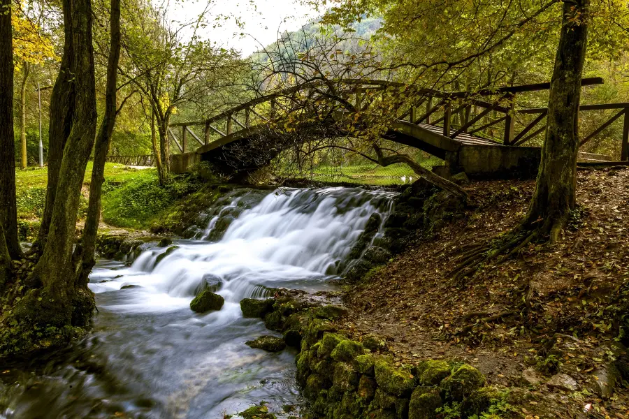 Vrelo Bosne