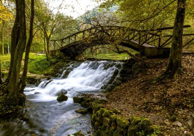 Vrelo Bosne