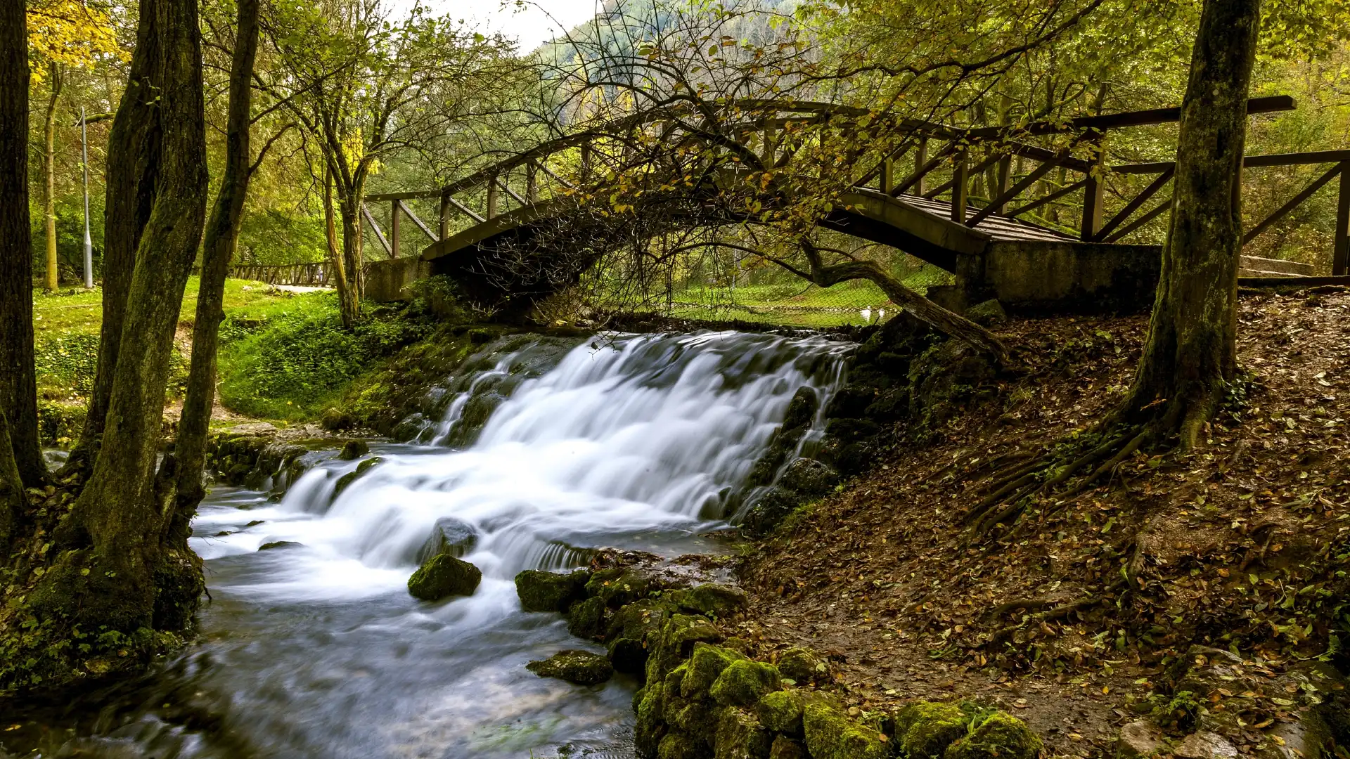 Hotels near Bosna Spring