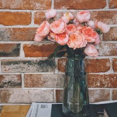 Gelato Dal Cuore User Photo