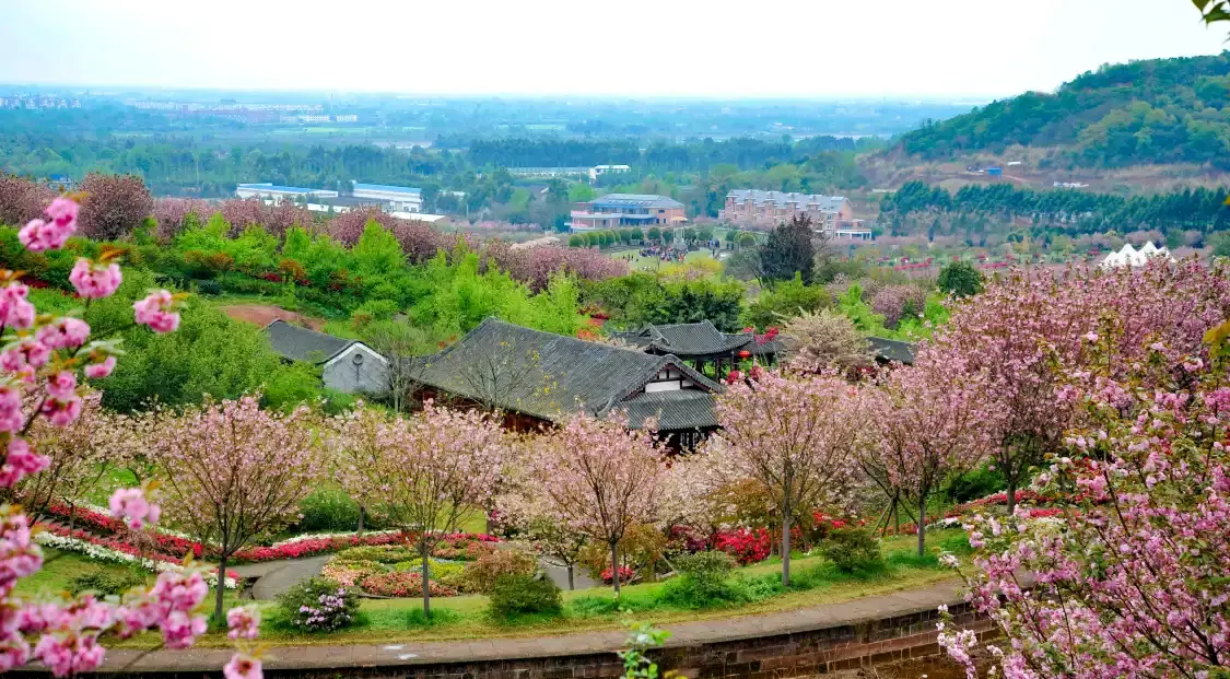 Hotels near Flower Dance World