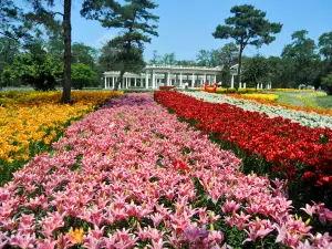 Shenyang Expo Garden