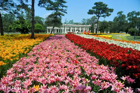 Shenyang Expo Garden