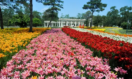 Shenyang Expo Garden