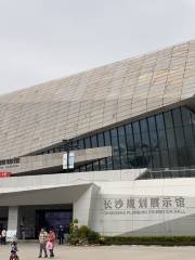 Changsha Museum, Changsha Planning Exhibition Hall, Changsha Library, and Changsha Concert Hall