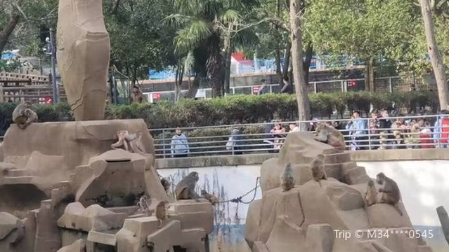 Zhuo Mountain Park - Zoo