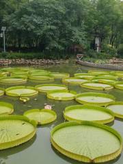 千湖水生植物園