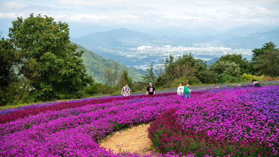 감악산