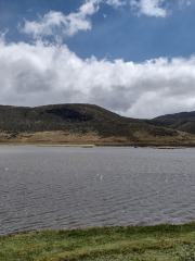 Parco Nazionale del Cotopaxi