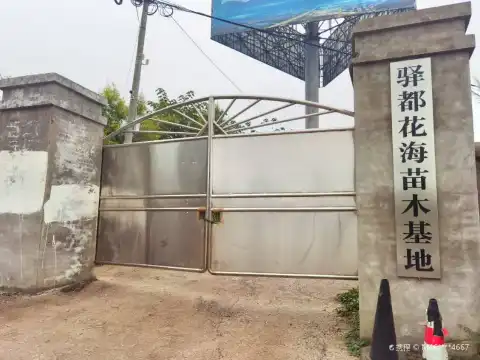 Hotels near Yidu Flower Sea