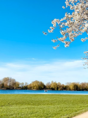 Wasserpark Dove-Elbe