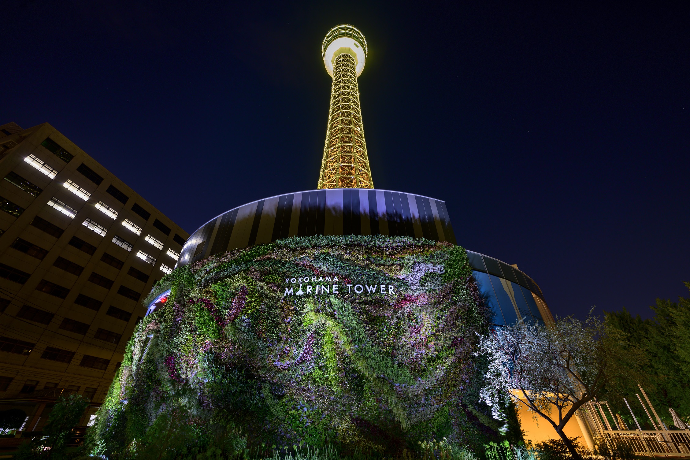 神奈川 横浜マリンタワー 入場Eチケット 予約