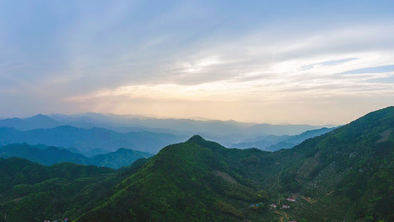 Tongcheng