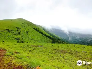Kodachadri