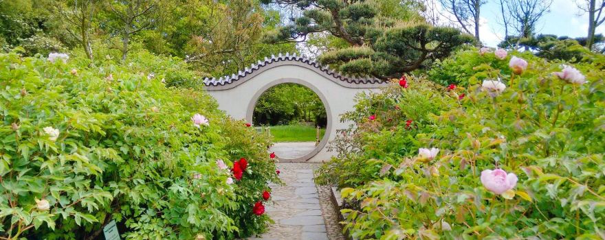Ellerhoop-Thiensen Arboretum