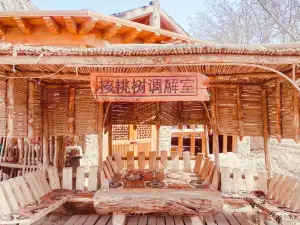 Hetao Wangshu