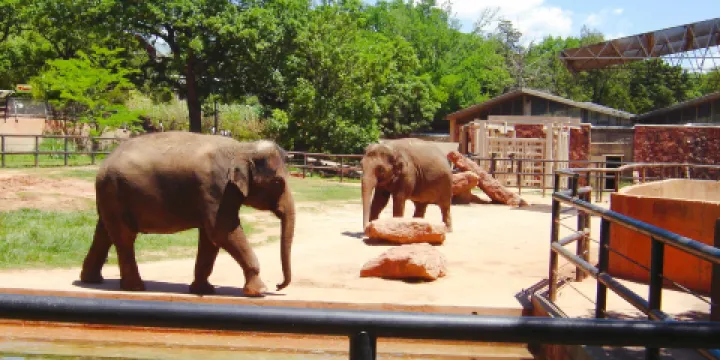 奧克拉荷馬城市動物園
