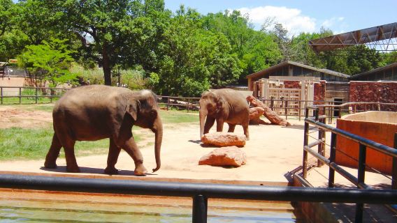 Oklahoma City Zoo