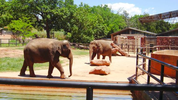 Oklahoma City Zoo