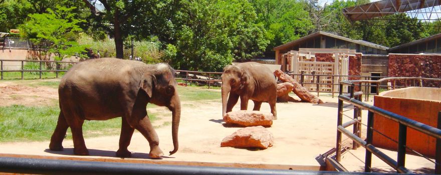 Oklahoma City Zoo und Botanischer Garten
