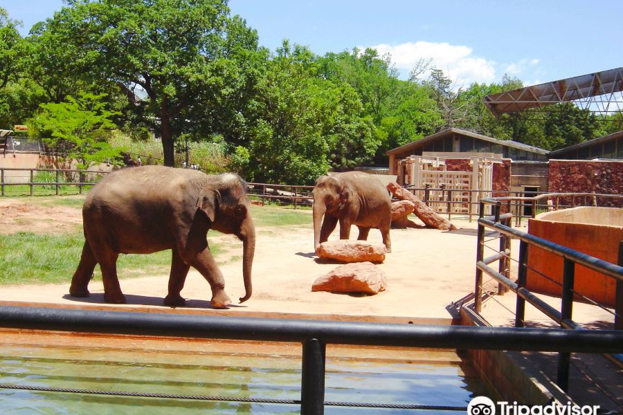 奧克拉荷馬城市動物園