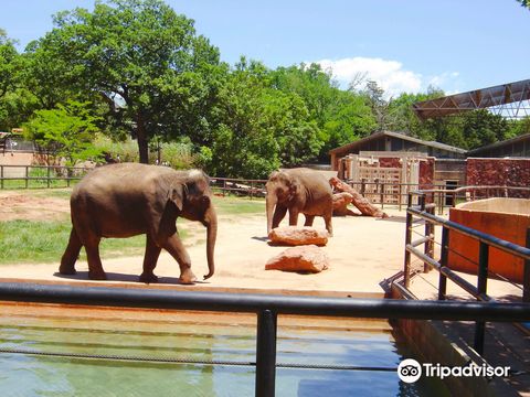 Oklahoma City Zoo und Botanischer Garten