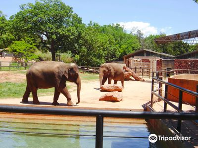 Oklahoma City Zoo